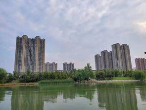 汕头龙湖区爆料案件最新,惊曝重大案件细节披露 第1张 汕头龙湖区爆料案件最新,惊曝重大案件细节披露 第1张